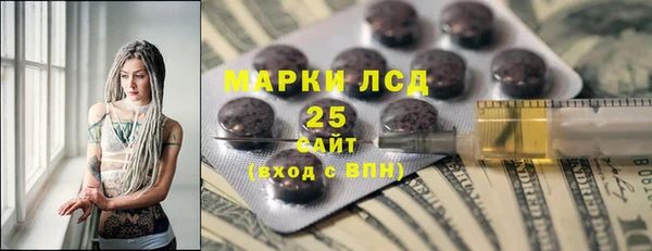 ГАЛЛЮЦИНОГЕННЫЕ ГРИБЫ Касимов
