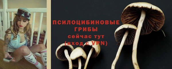 кокаин Карпинск