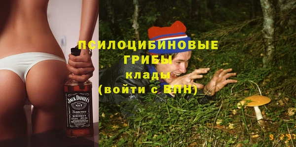 сатива Карталы