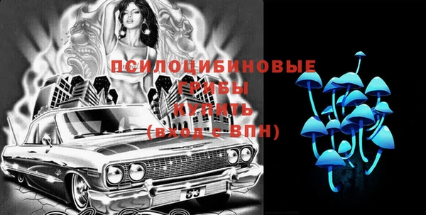 сатива Карталы