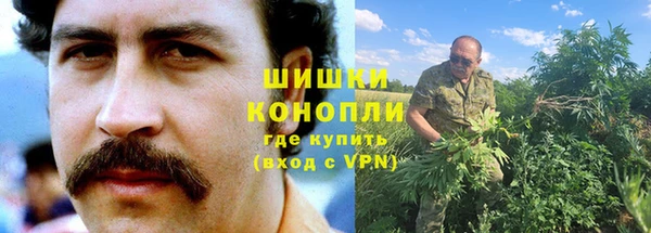 ГАЛЛЮЦИНОГЕННЫЕ ГРИБЫ Касимов