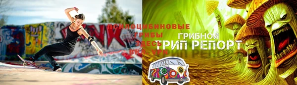 ГАЛЛЮЦИНОГЕННЫЕ ГРИБЫ Касимов