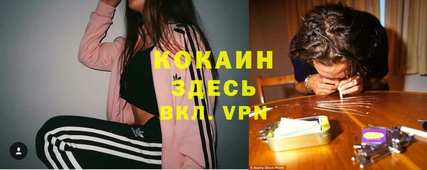 ГАЛЛЮЦИНОГЕННЫЕ ГРИБЫ Касимов
